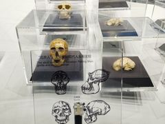 -北京周口店北京人遗址博物馆