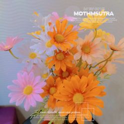 -SILKTONE诗丽堂美容