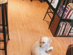 -元氏钵仔糕(北京路店)