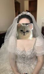 -莫小姐婚纱