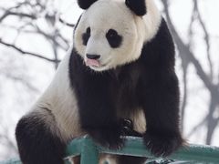 -天津市动物园