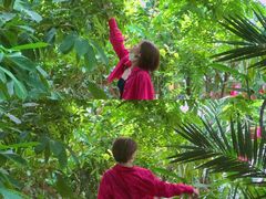 -呀路古热带植物园