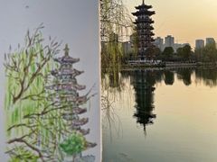 -洋湖国家湿地公园