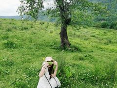 -硗碛藏寨·神木垒景区