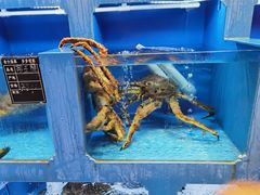 -老六海鲜城