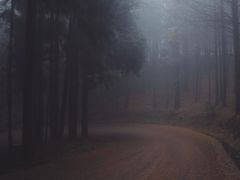 -山王坪喀斯特国家生态公园