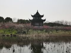 -上海海湾国家森林公园