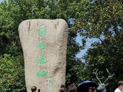 -溱湖国家湿地公园