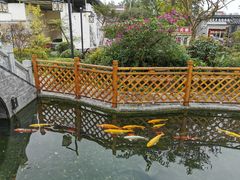-九尺赵老四鲜鹅肠火锅