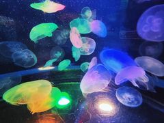 -太平洋海底世界