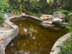 -碧桂园润杨溪谷温泉酒店