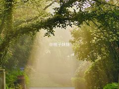 -桃花岛景观公园