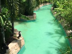 -亚马逊丛林水乐园