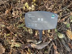 -国家植物园南园