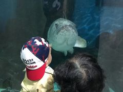 -苏州海洋馆