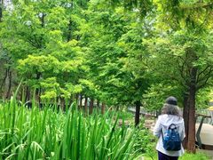 -白水寺森林公园