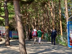 -帽儿山国家森林公园