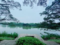 -江心屿景区