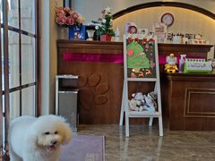 -宠爱国际动物医院·消化内科·心肾内科·ISFM猫友好(望京店)