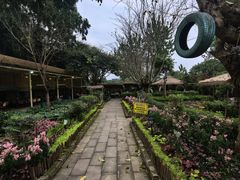 -苏记溪河鲢鱼庄(天府新区店)