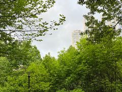 -龙头寺公园