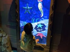 -沈阳海洋探索中心