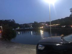 -满記土窑烧鷄波浪山莊