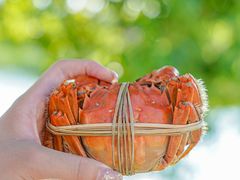 -小陆莲花蟹园农家乐(莲花岛店)