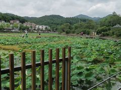 -红山村