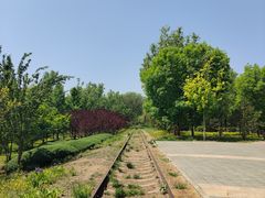 -永定河休闲森林公园