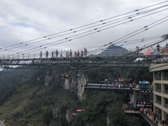 -梦幻奥陶纪景区