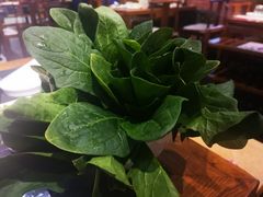 -南门四季铜锅涮肉(左家庄店)