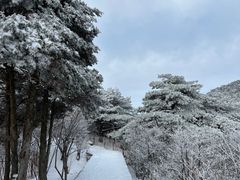 -黄山风景区