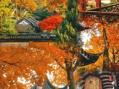 -苏州太湖国家湿地公园