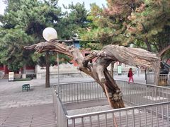 -大钟寺古钟博物馆