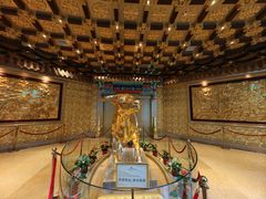 -华西龙希国际大酒店旅游观光景区