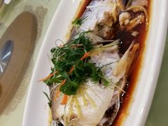 -海晖酒楼·顺德鱼生(荣华店)