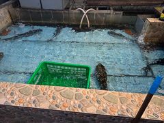 -鱼窝棚柴火铁锅炖(富山屯店)