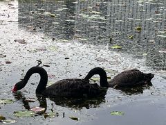 -长春世界雕塑园冰雪艺术天地