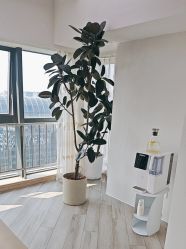 -HEYAN荷妍专业脱毛连锁机构