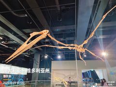 -墨尔本博物馆(Melbourne Museum)