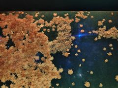 -珠海长隆海洋王国