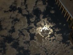 -奥斯卡升龙国际影城(RealD Cinema)