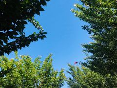 -洨河生态公园