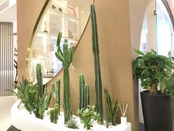 -V Charm芮槿肌肤管理