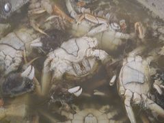 -尚宴牛特鲜自助(太原街万达店)