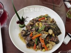 -椿不老