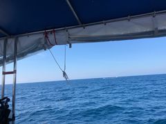 -书亦烧仙草(中南荟店)