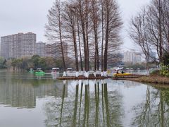 -青枫公园