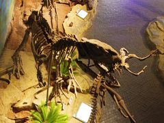 -自贡恐龙博物馆